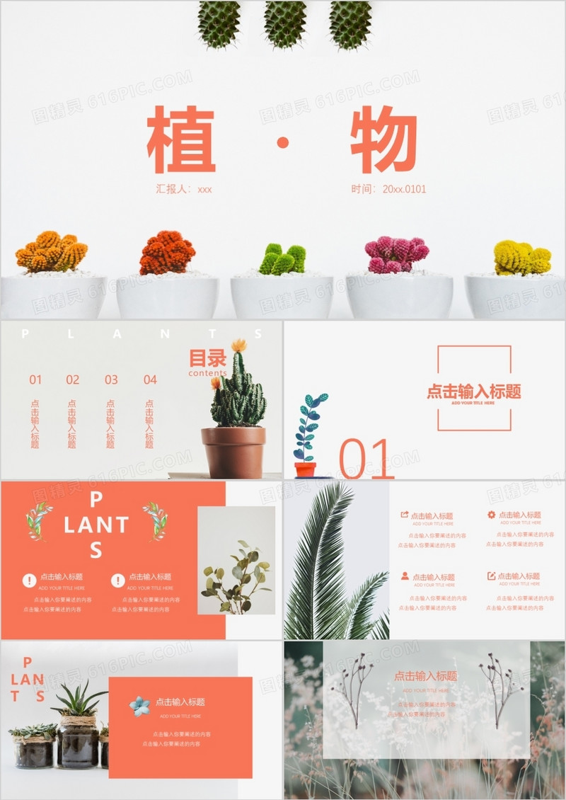 简约小清新花卉植物PPT模板