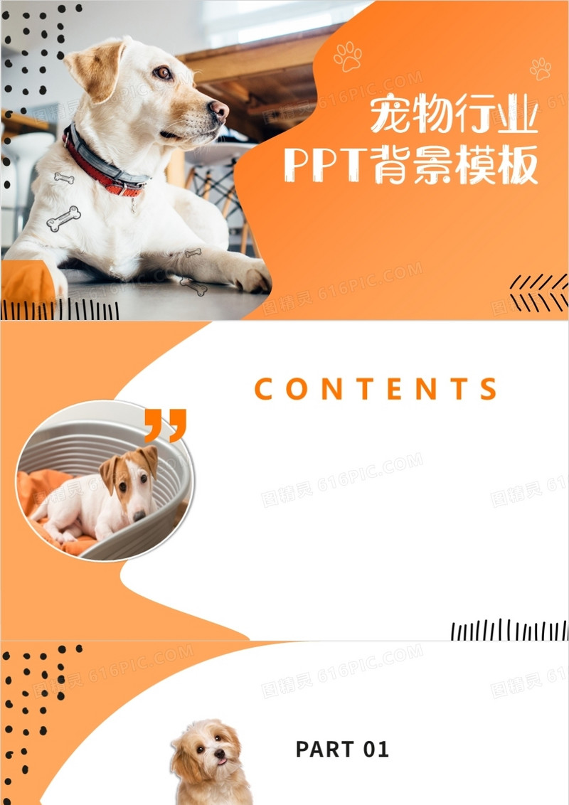 宠物行业通用PPT背景模板