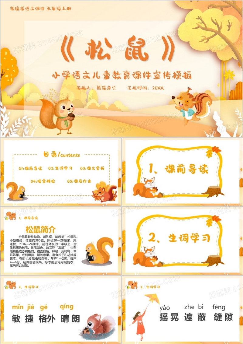 部编版五年级语文上册松鼠课件PPT模板