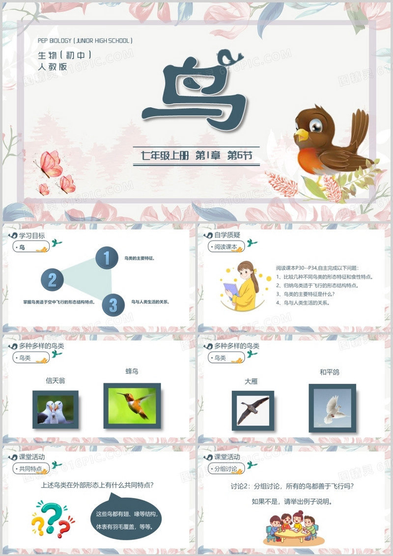 部编版七年级语文上册鸟课件PPT模板