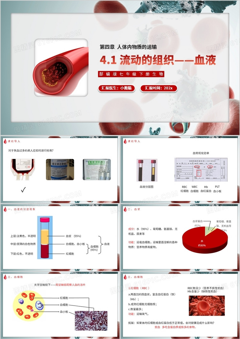 部编版七年级生物下册流动的组织——血液课件PPT模板