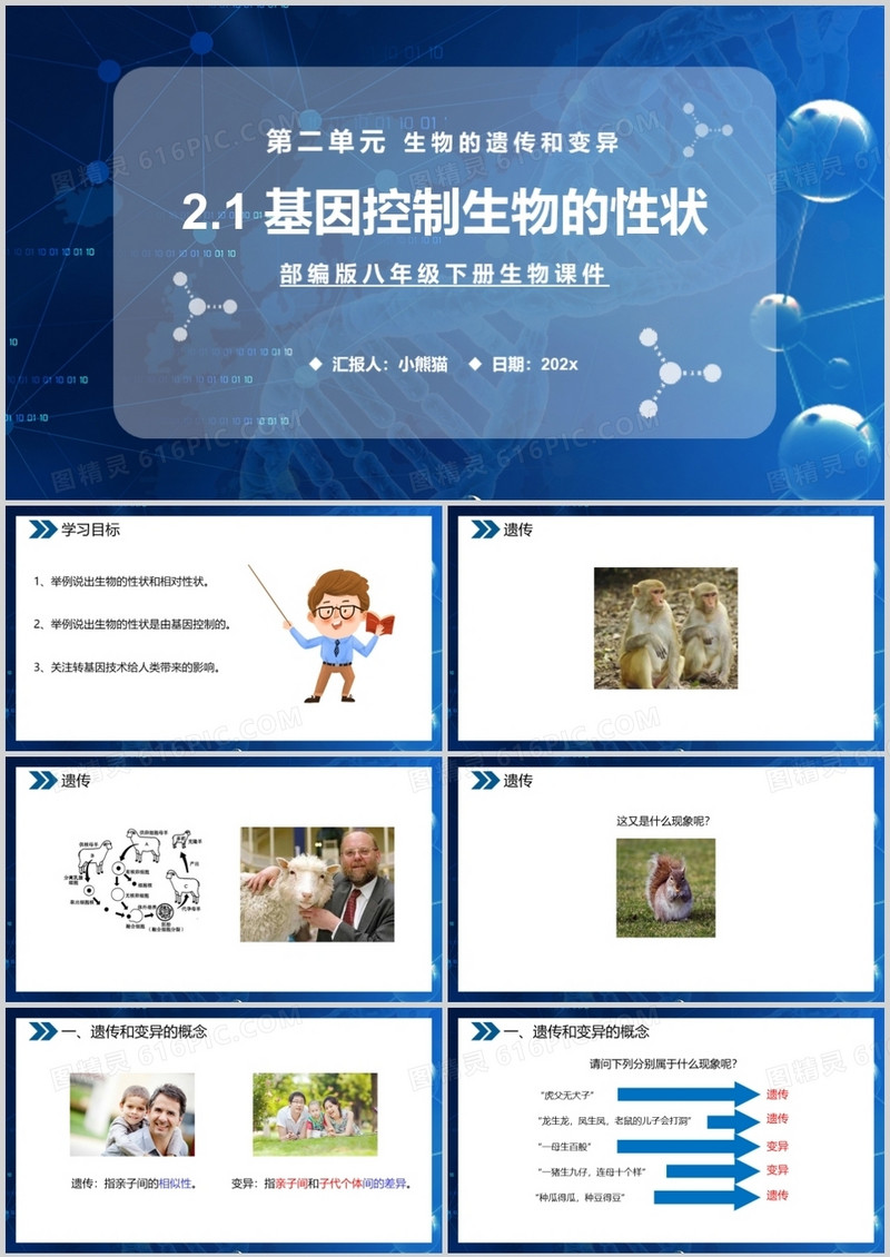 部编版八年级生物下册基因控制生物的性状课件PPT模板