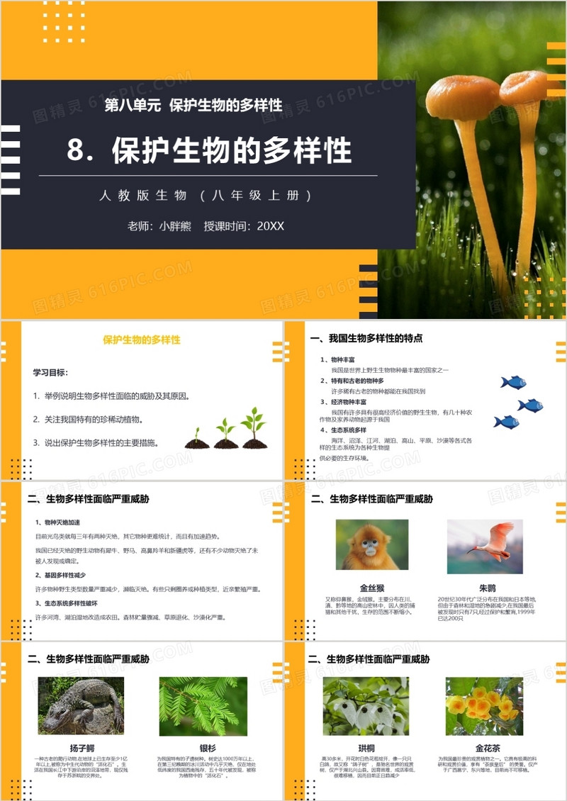 部编版八年级生物上册保护生物的多样性课件PPT模板
