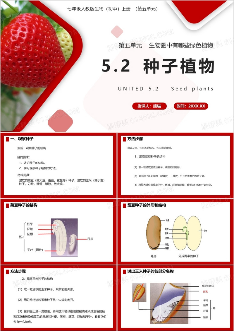  部编版七年级生物上册种子植物课件PPT模板