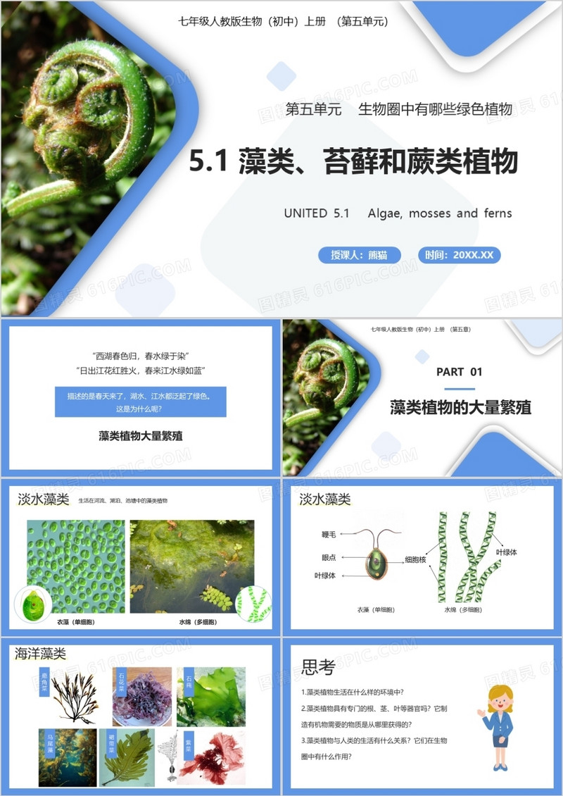  部编版七年级生物上册藻类、苔藓和蕨类植物课件PPT模板