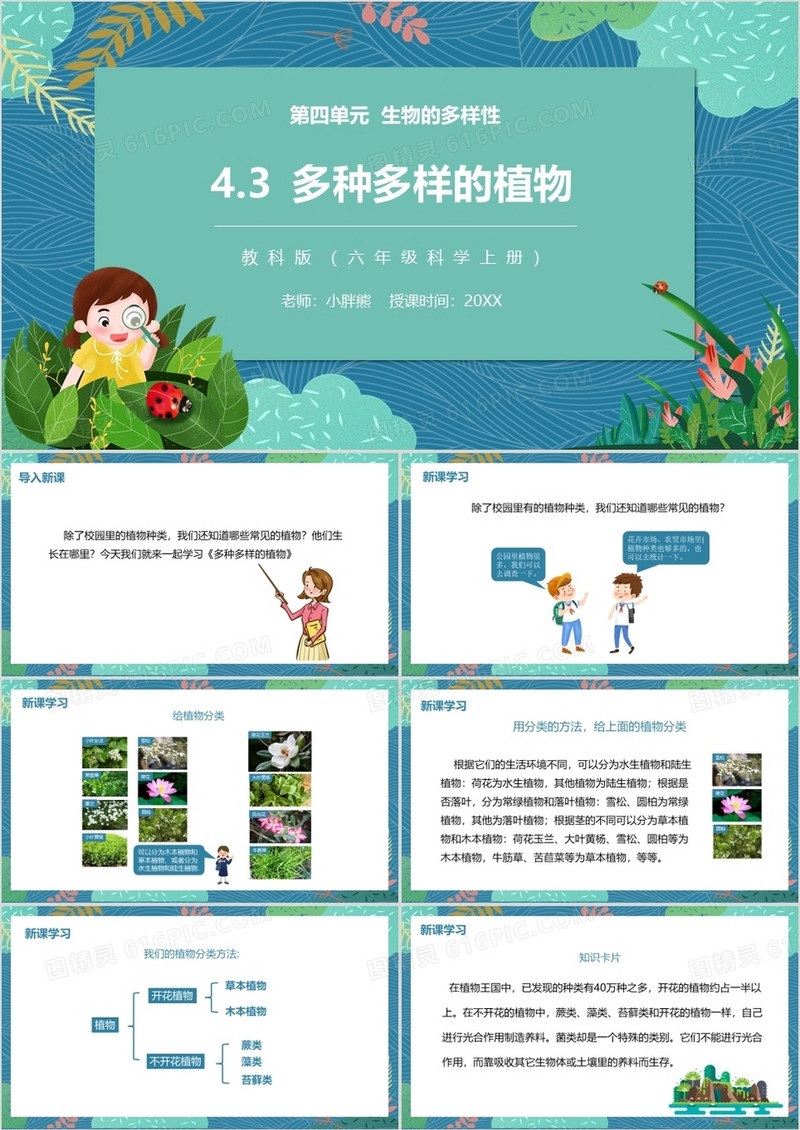 教科版六年级科学上册多种多样的植物PPT模板