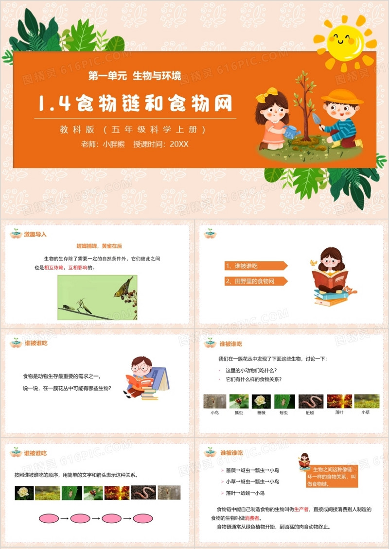 教科版五年级科学上册食物链和食物网PPT模板