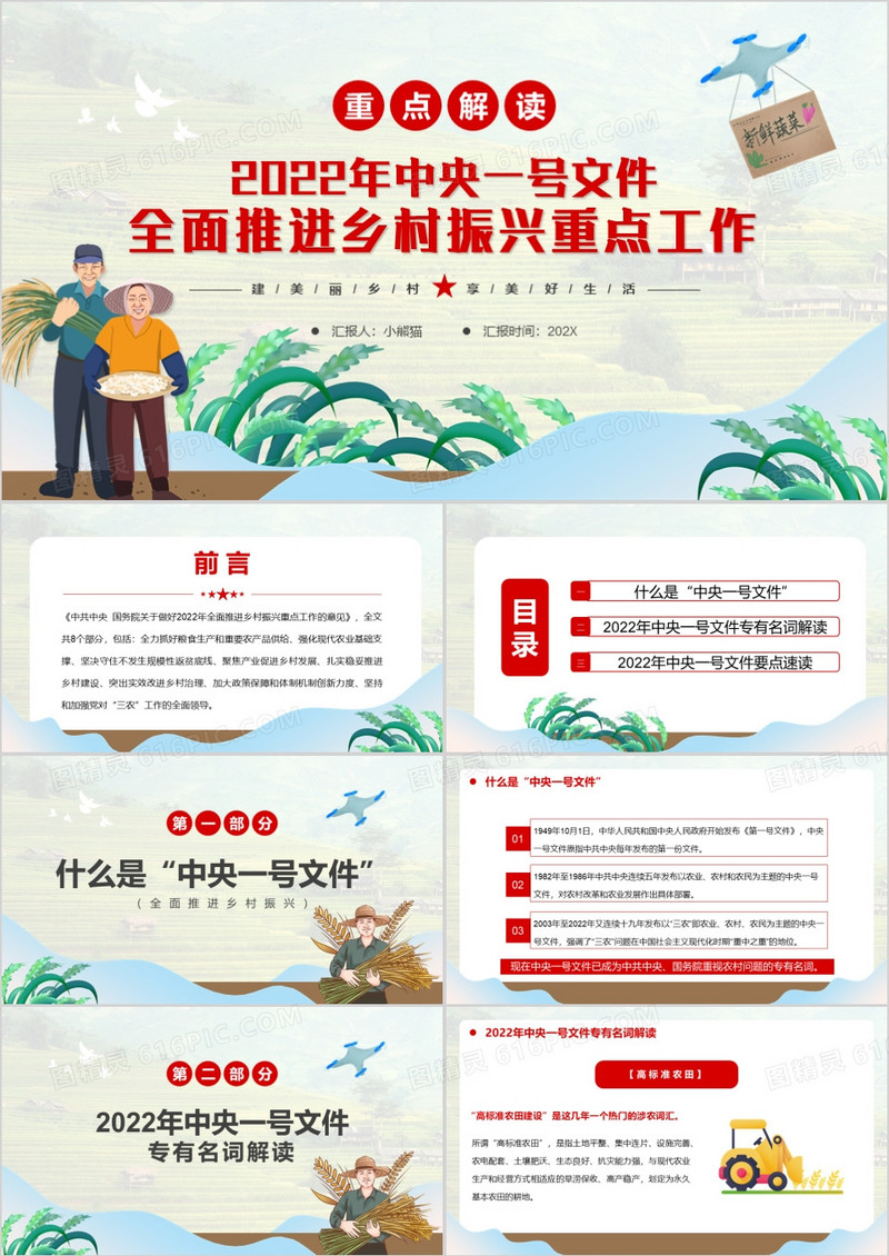 中央一号文件全面推进乡村振兴重点工作PPT模板