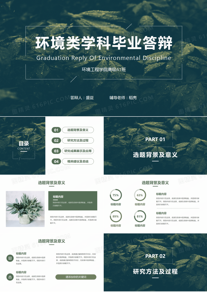 环境科学与工程论文答辩毕业设计