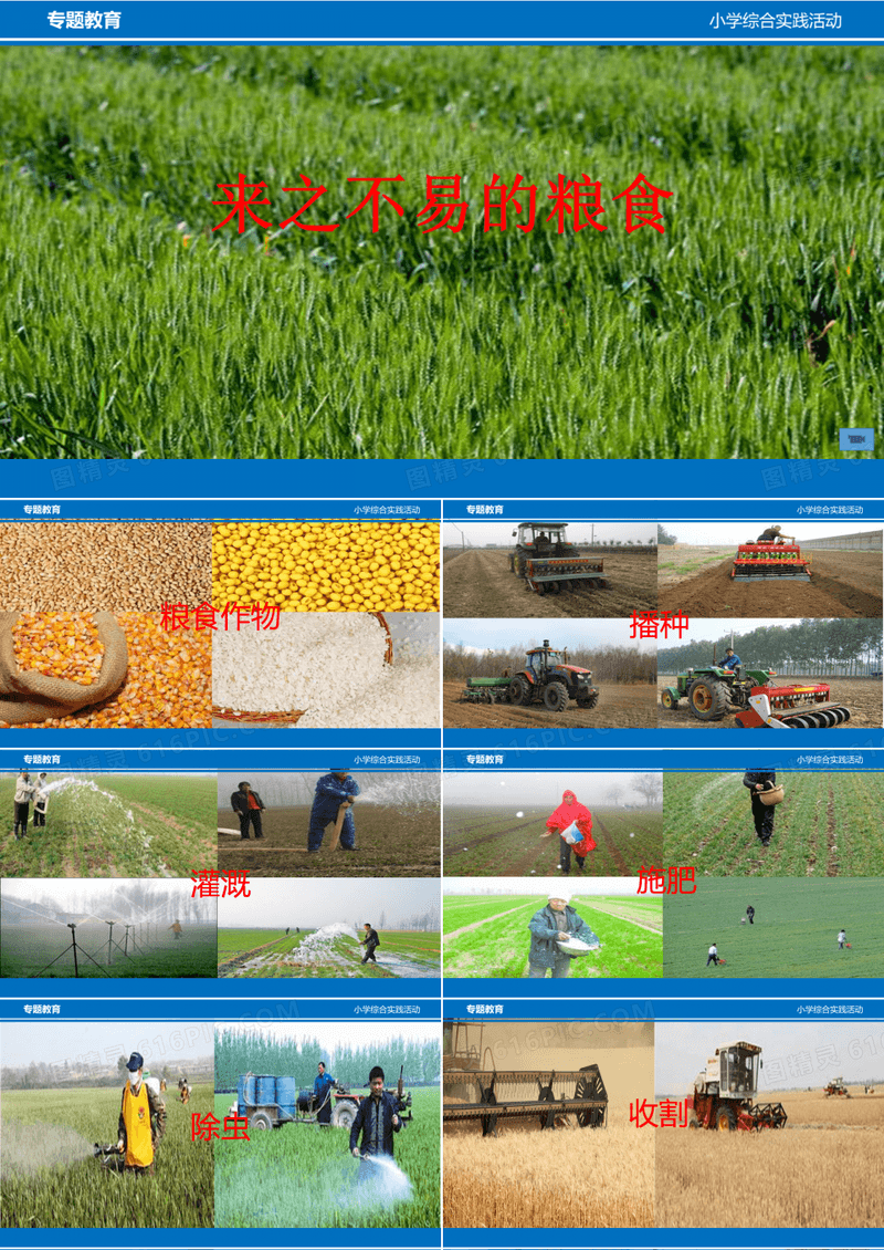 最新小学综合实践活动《来之不易的粮食》爱惜粮食主题教育活动课件