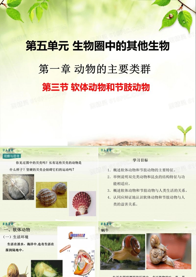 初中生物八下《1.3第三节 软体动物和节肢动物》优质课件(两套)