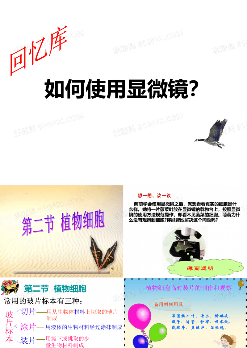 人教版七年级生物上册教学课件：第二单元第一章第二节 植物细胞 (共29张PPT)2