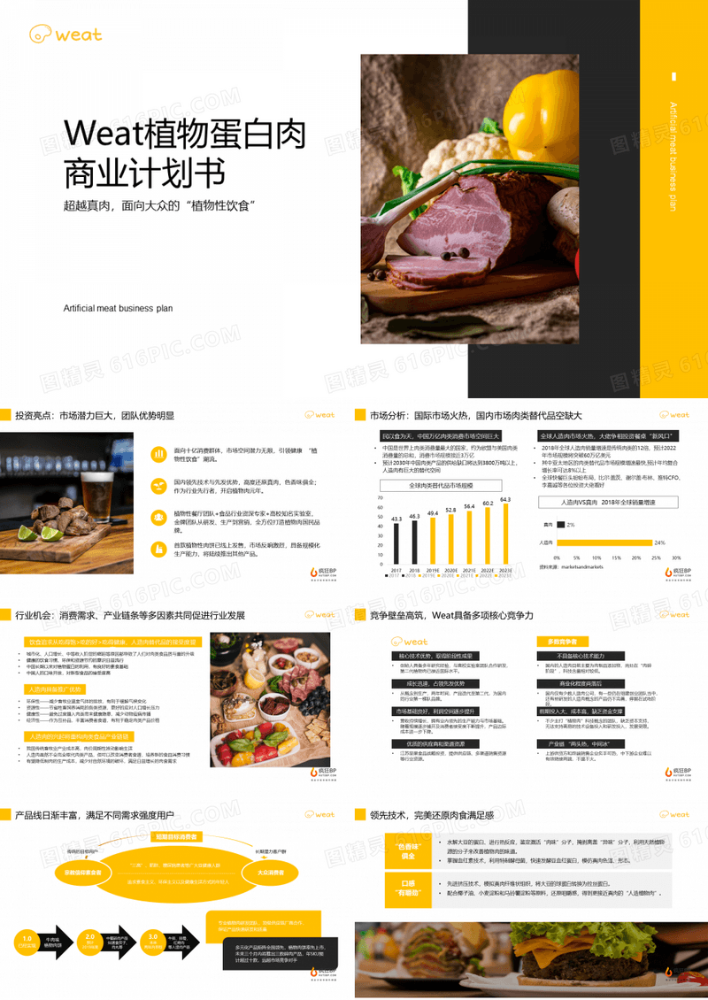 人造肉植物蛋白肉商业计划书模板范文