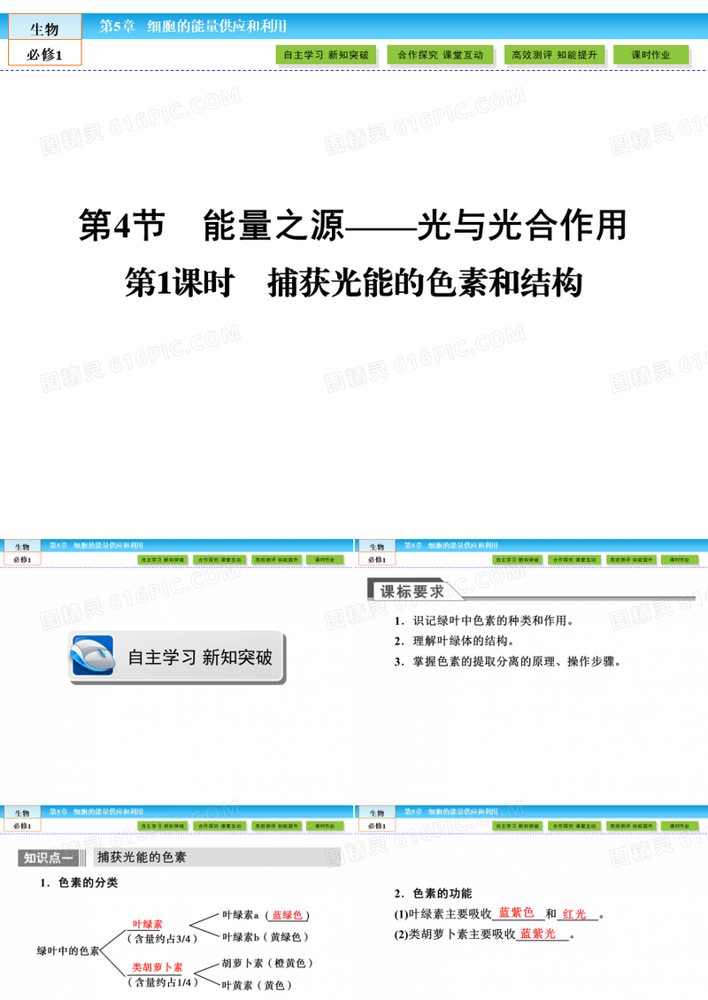 (人教版)高中生物必修一：5.4《捕获光能的色素和结构》ppt课件