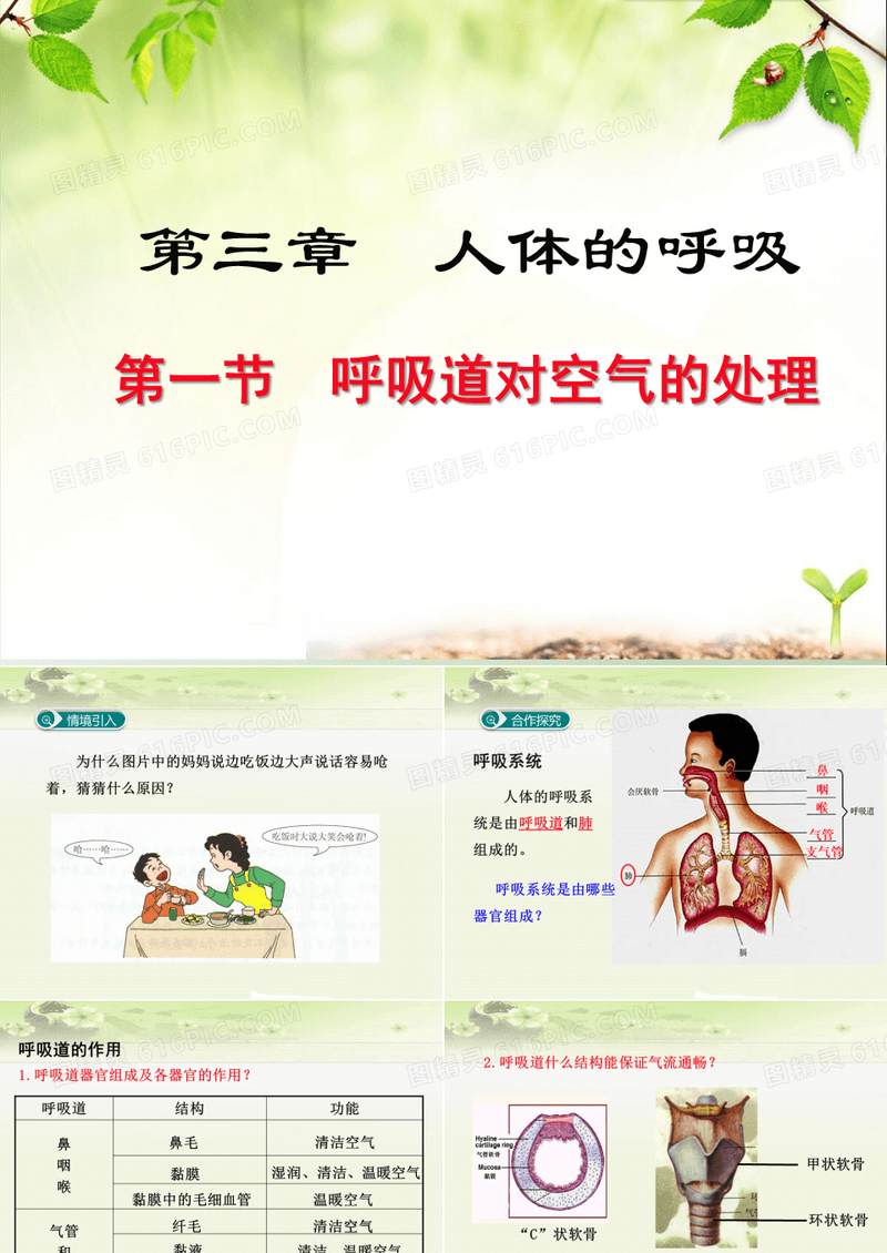 人教版初中生物七年级下册《3.1第一节 呼吸道对空气的处理》优质课件(两套)