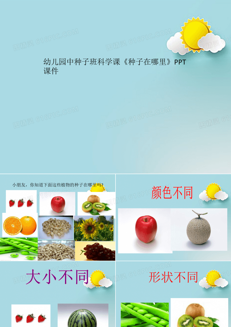 幼儿园中种子班科学课《种子在哪里》PPT课件