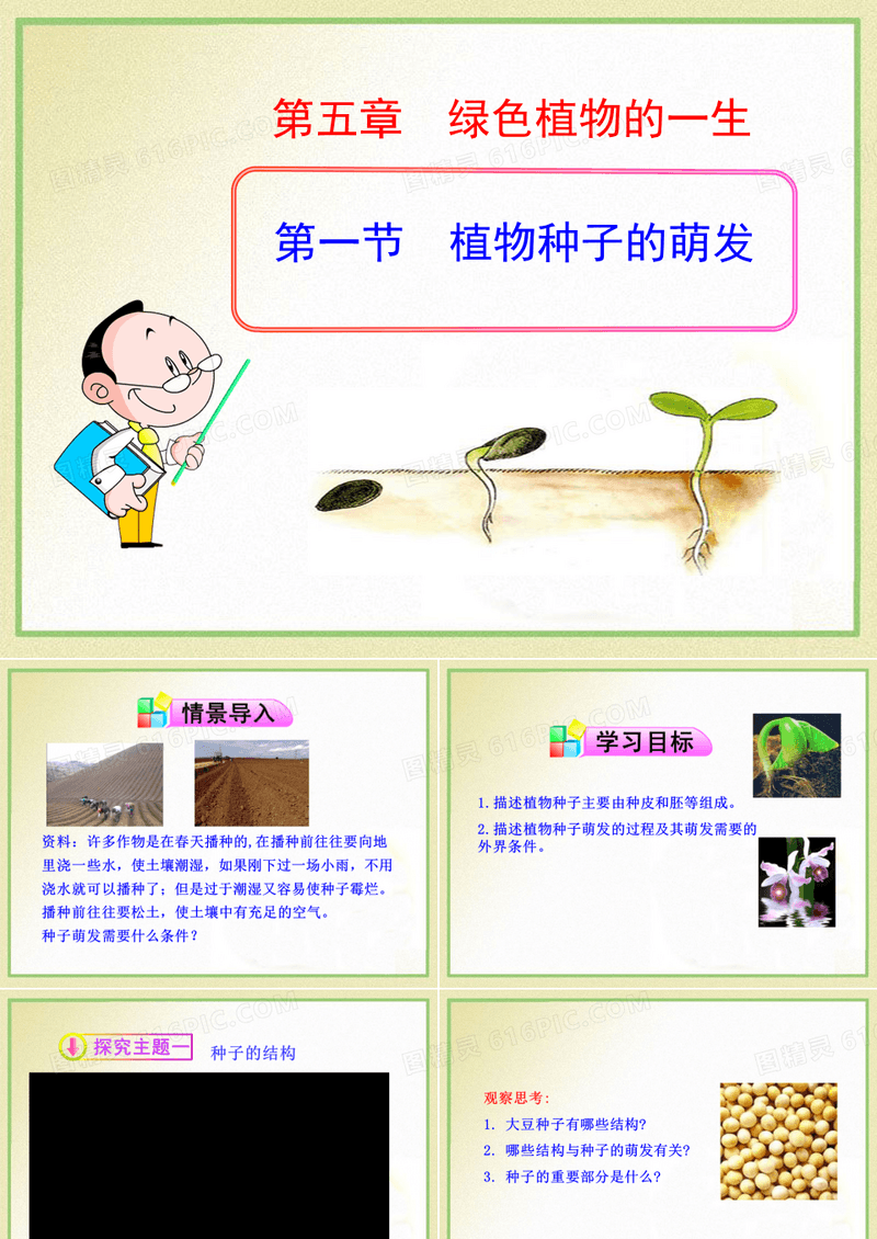 《植物种子的萌发》PPT