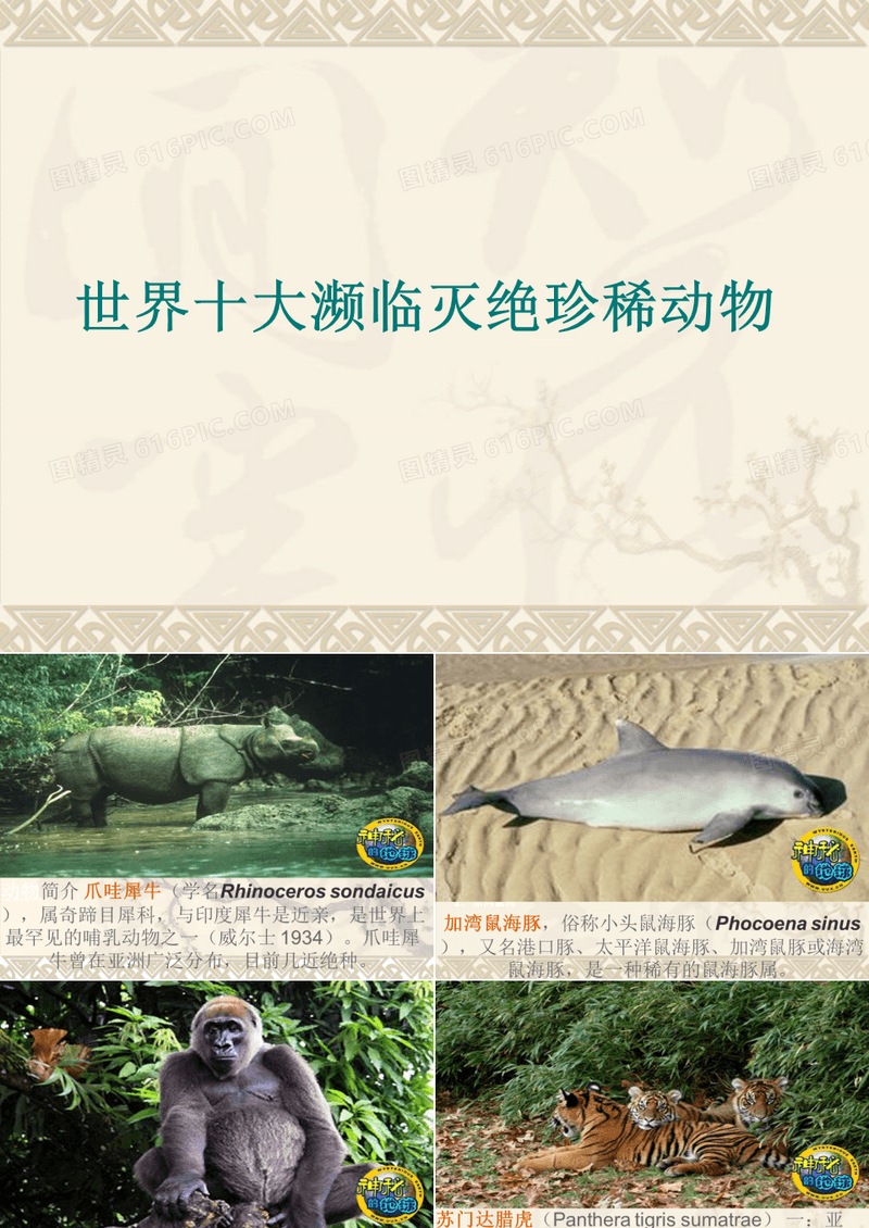 世界十大珍稀动物及中国珍稀动物图片展示
