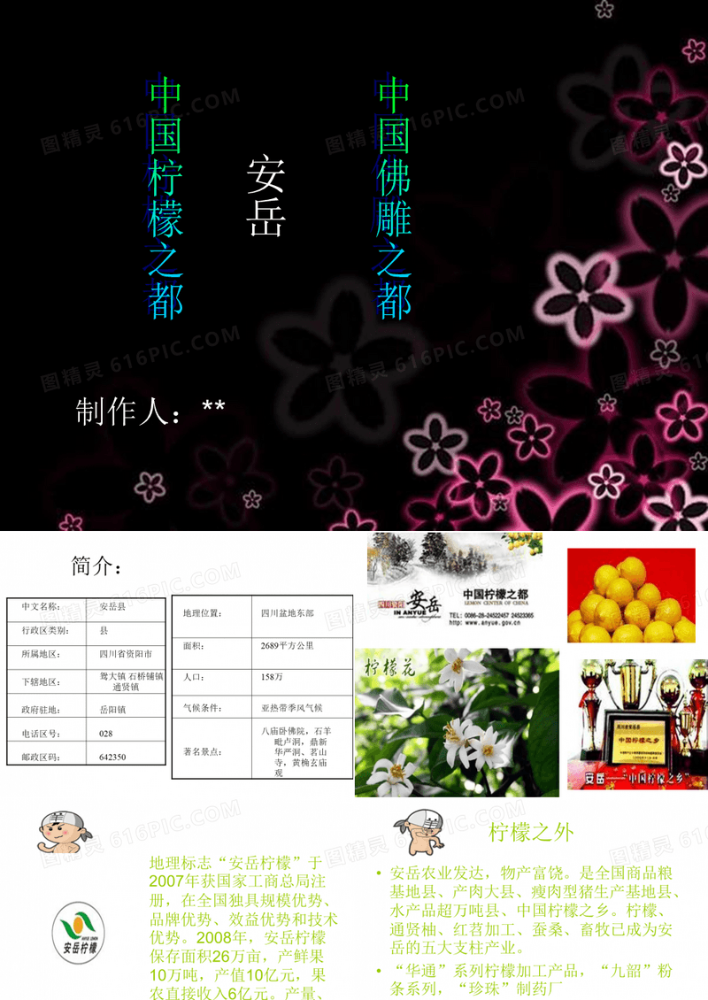 家乡安岳介绍