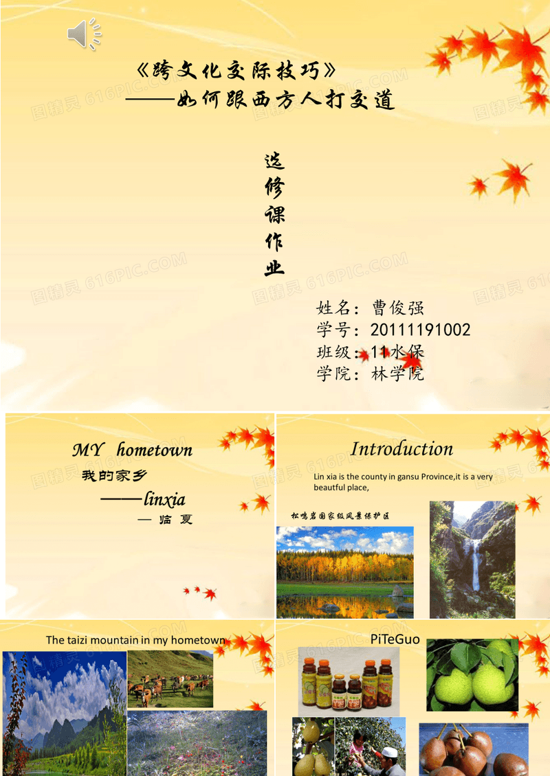 介绍我的家乡