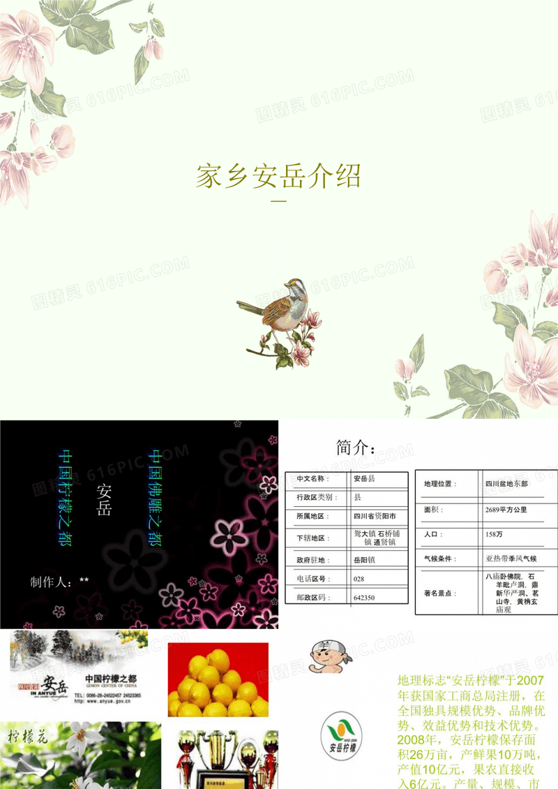家乡安岳介绍共15页