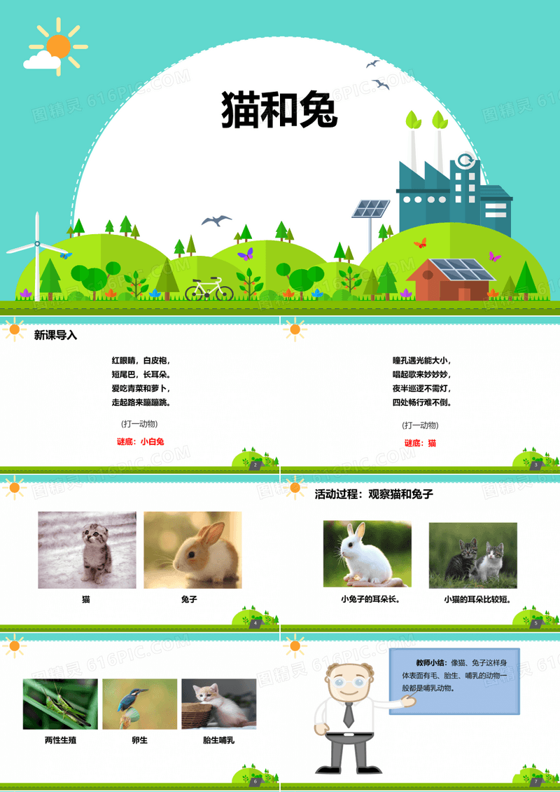 小学科学《猫和兔》优质课件
