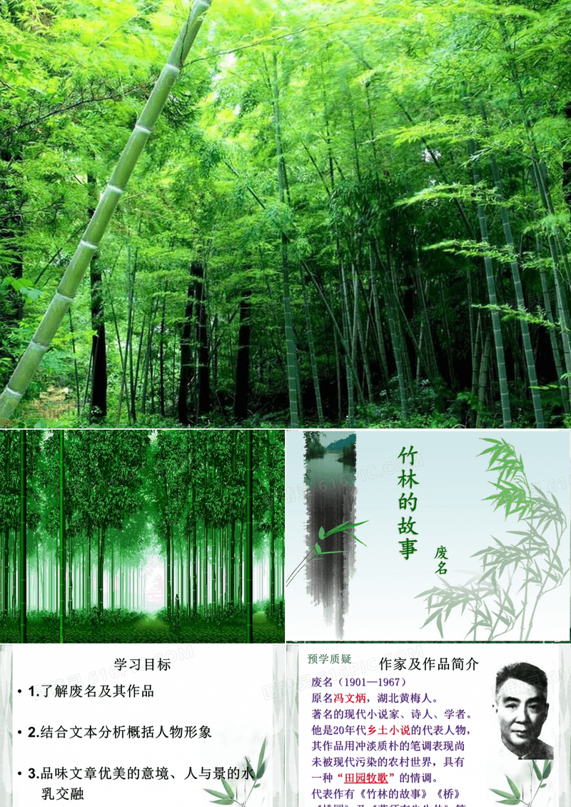 《竹林的故事》