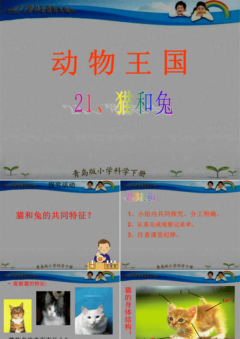 青岛版小学三年级科学下册《猫和兔》课件(“动物”相关文档)共16张