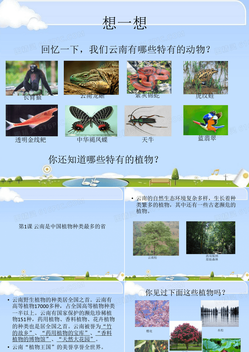 1.云南是中国植物种类最多的省