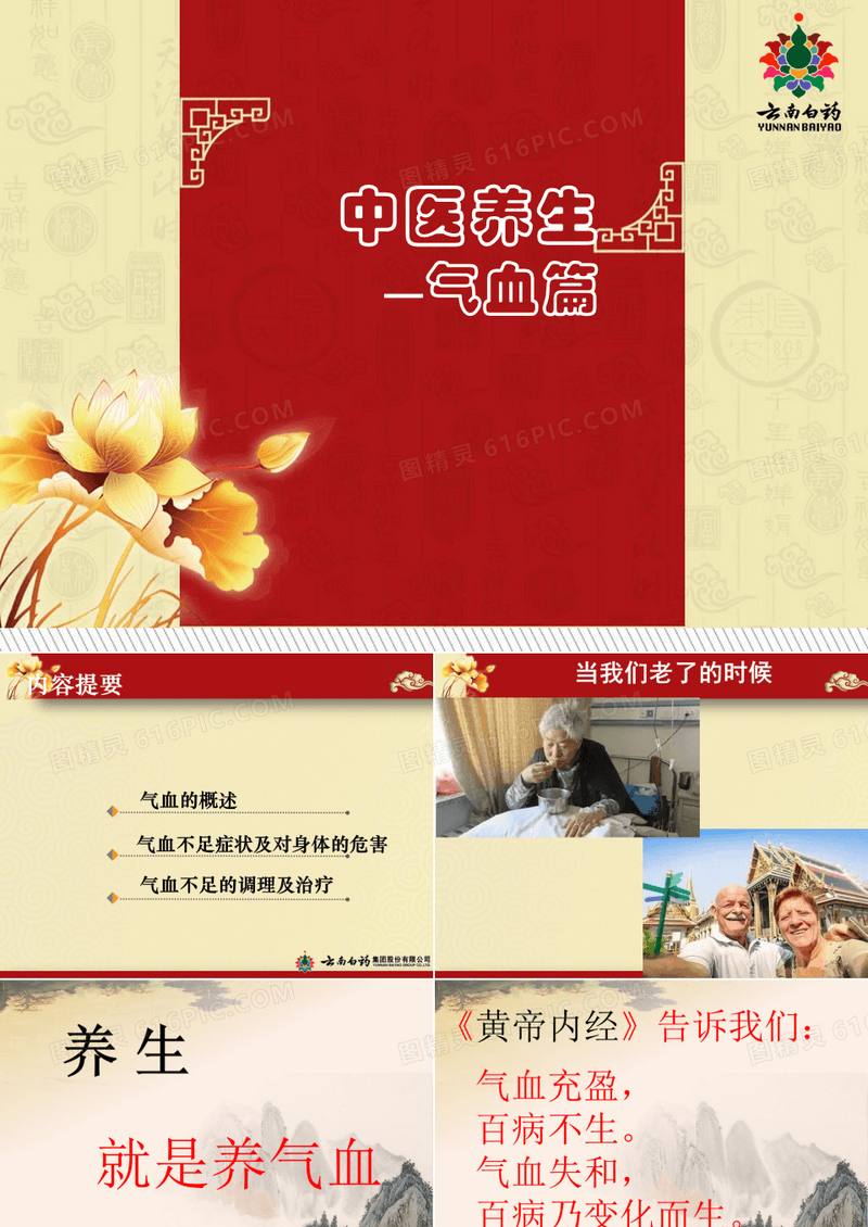 最新-气血康口服液-云南白药-PPT文档资料