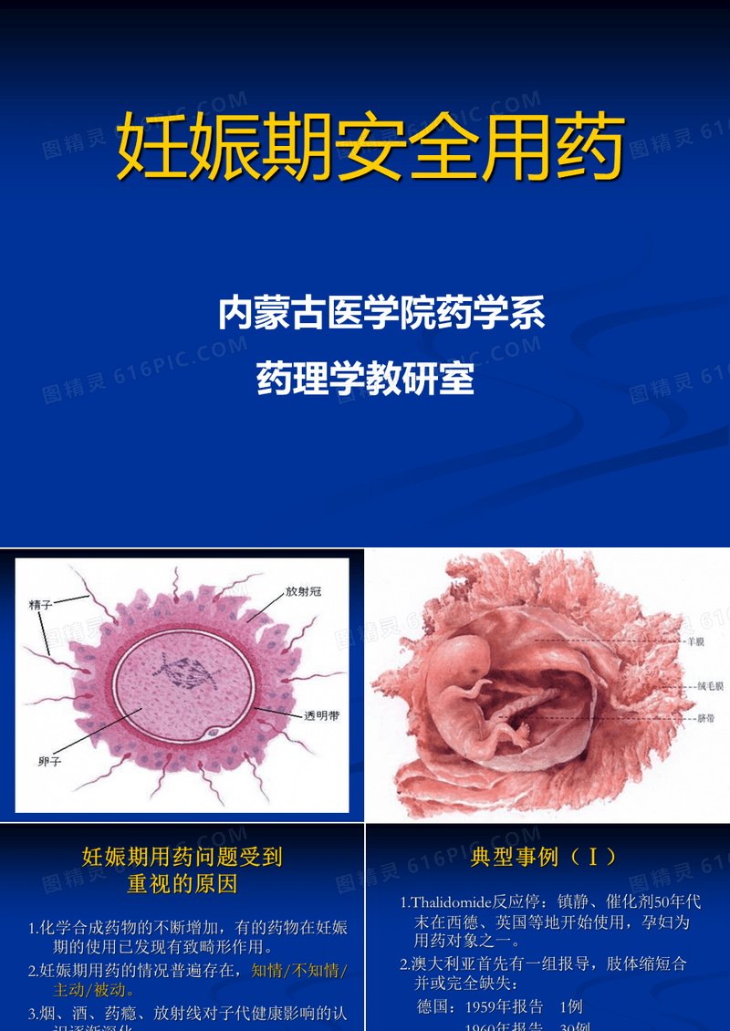 妊娠期安全用药