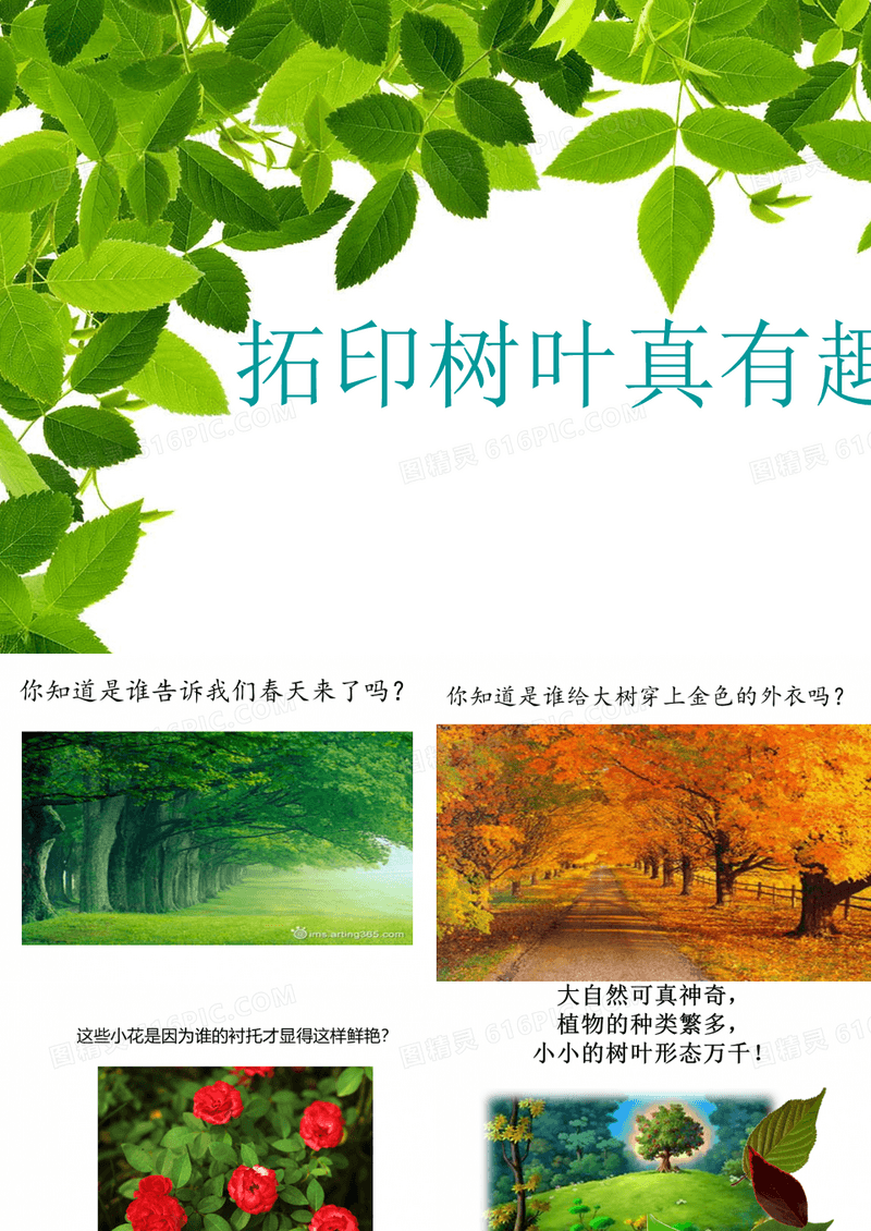 拓印树叶真有趣