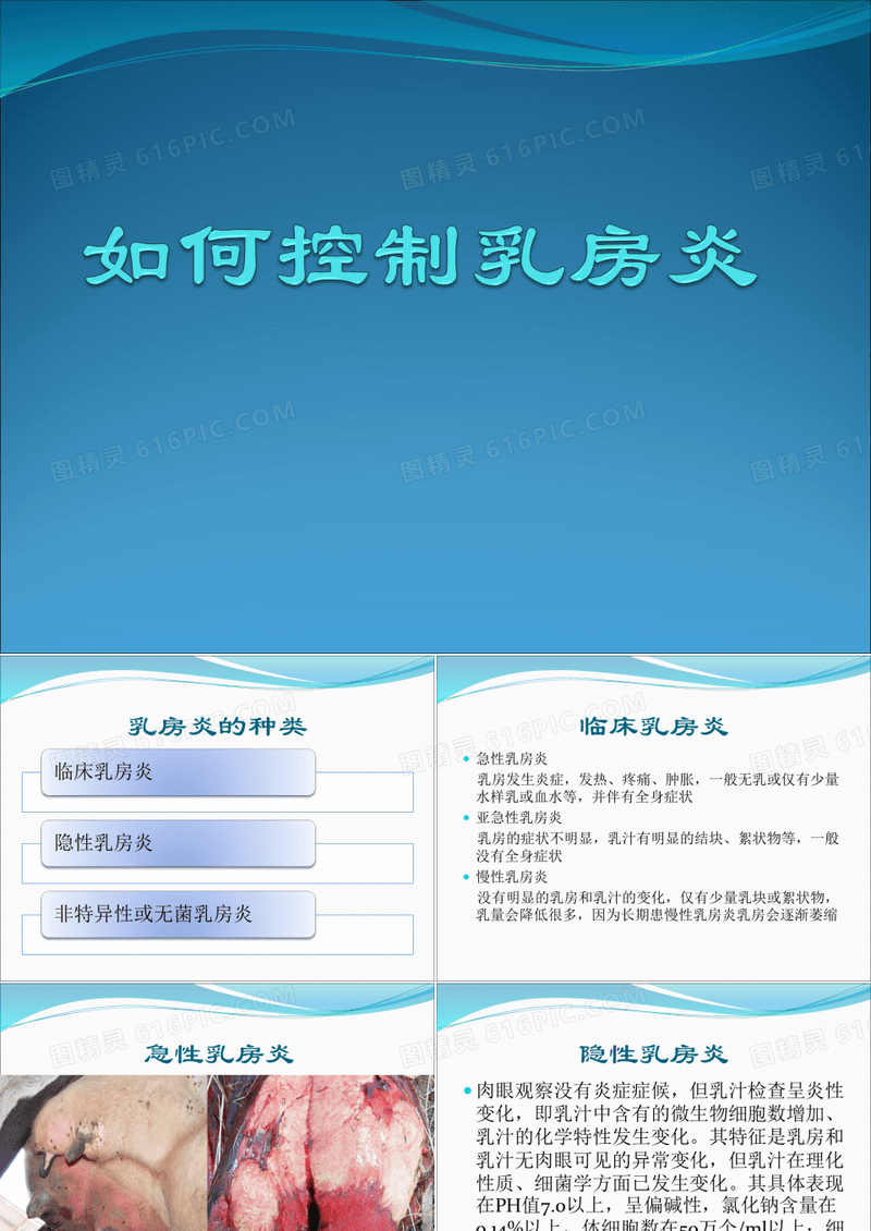 奶牛乳房炎