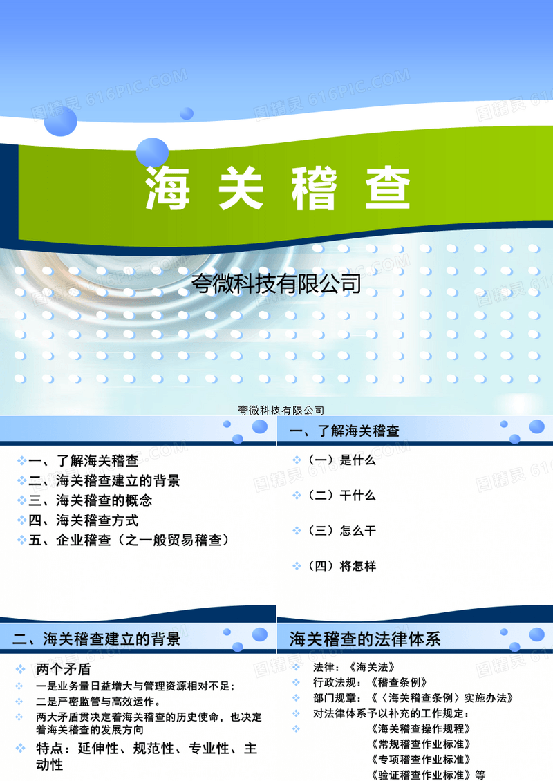 海关稽查