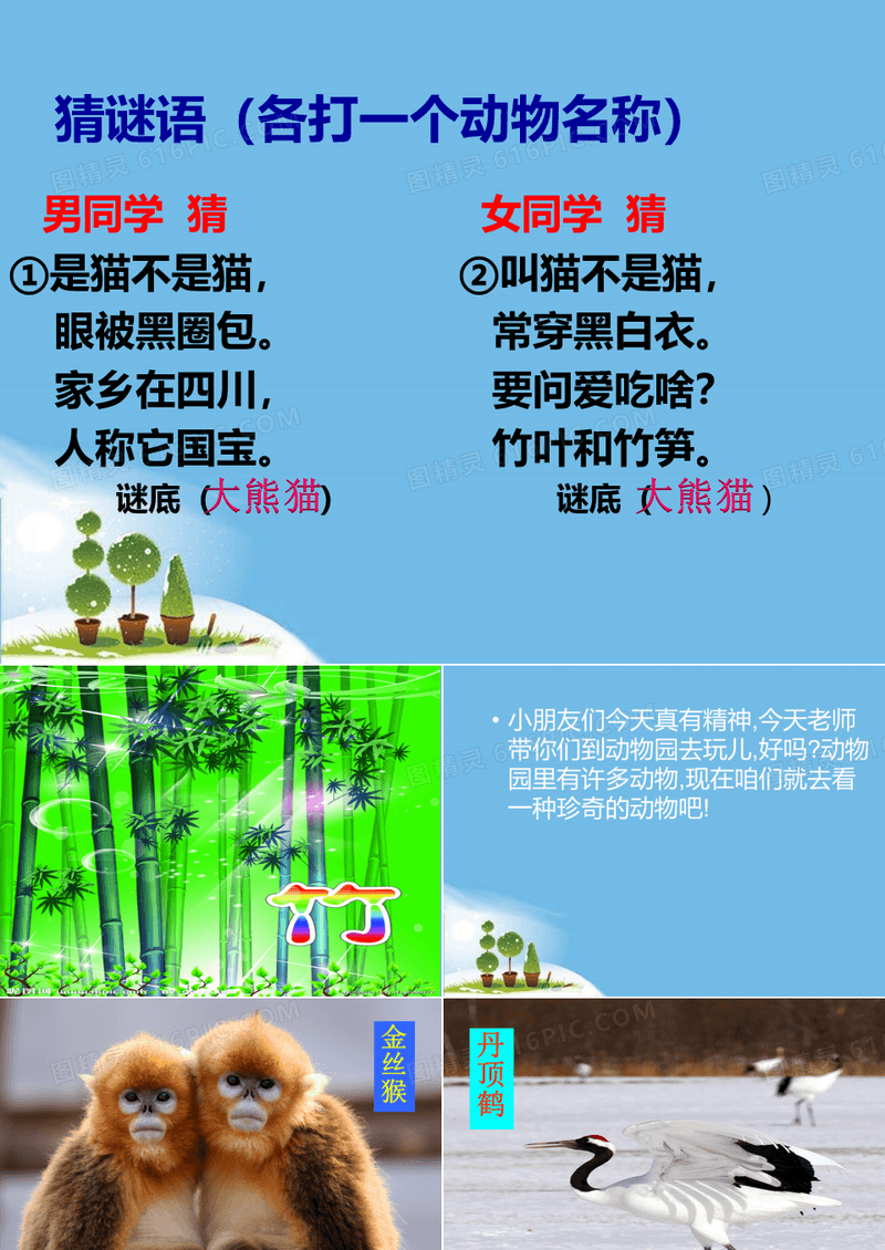 小学语文S版一年级下册7.《大熊猫》课件