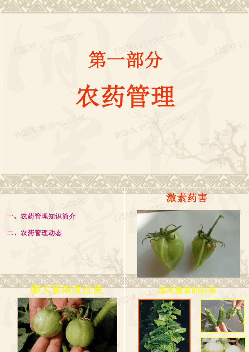 农药管理及安全用药培训.