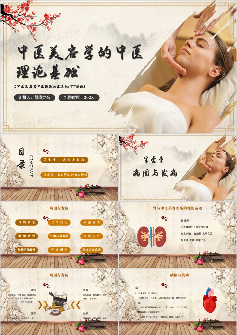 中医美容学的中医理论基础动态PPT模板