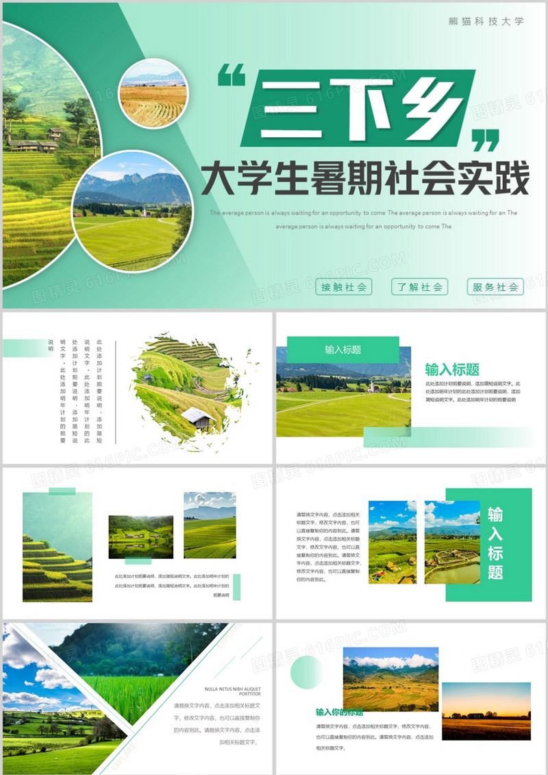 绿色简约大学生三下乡社会实践PPT模板