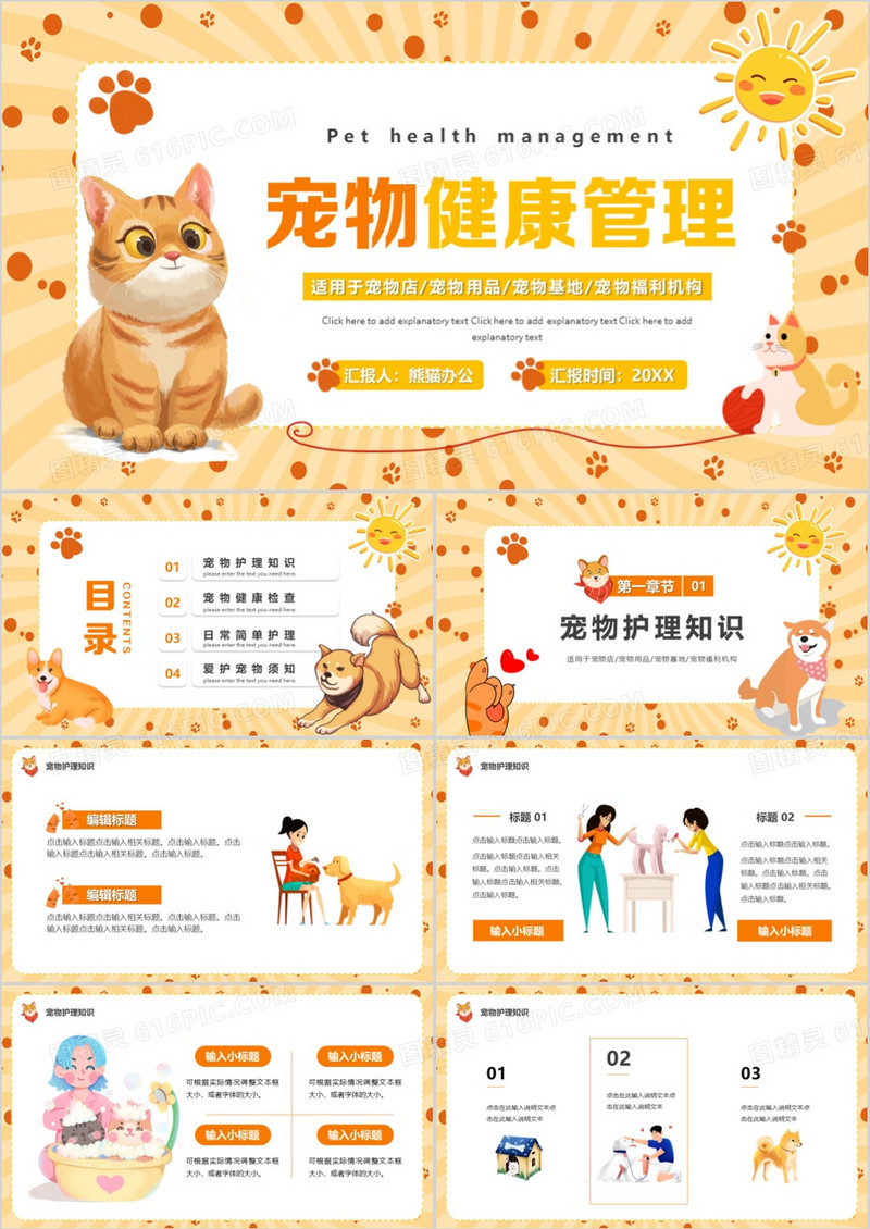 黄色卡通风宠物健康管理PPT通用模板