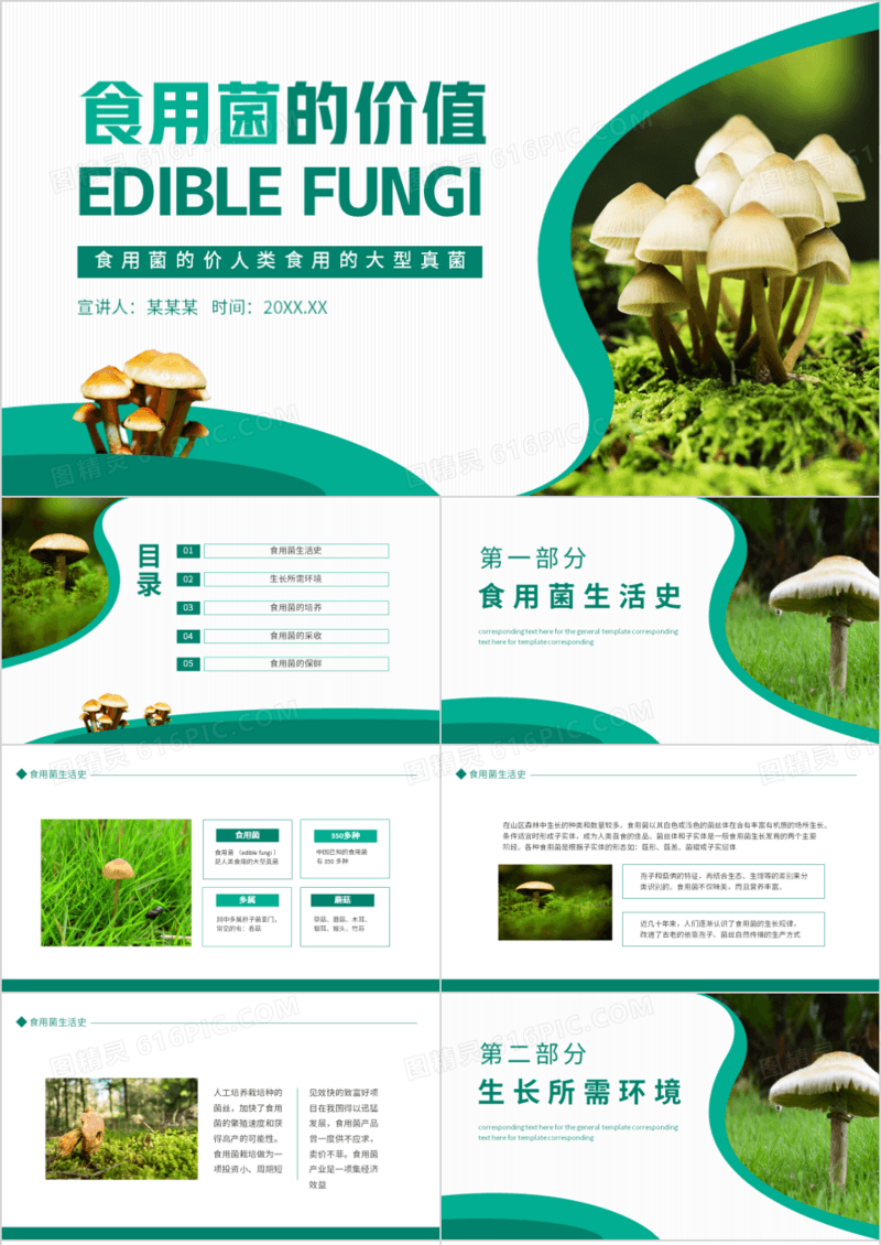 食用菌的价值人类食用的大型真菌动态PPT模板