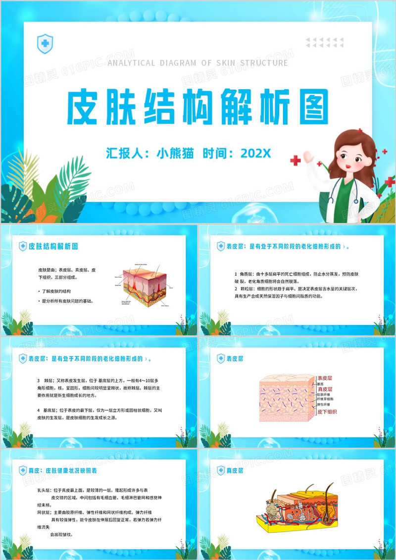 蓝色卡通风皮肤结构解析图PPT模板