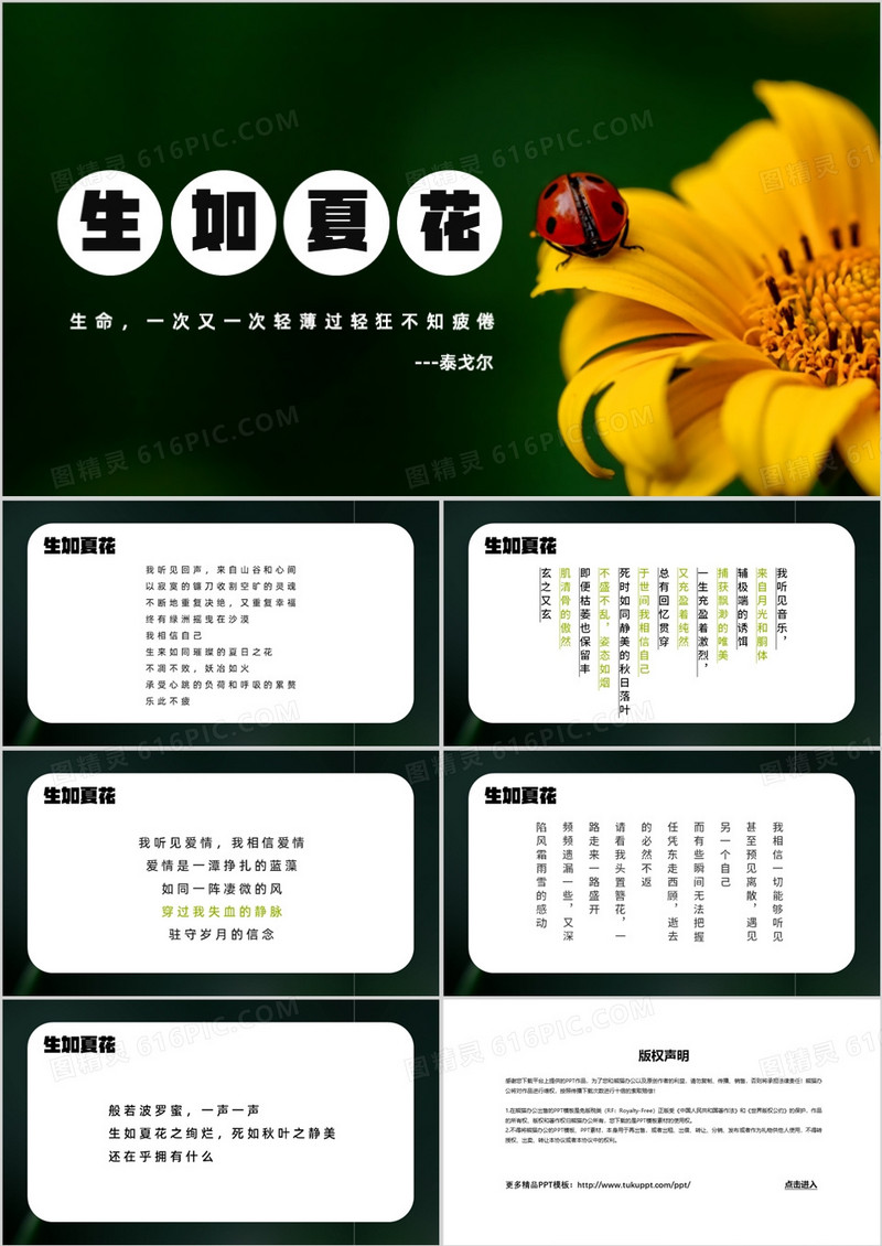 绿色简约生如夏花PPT模板