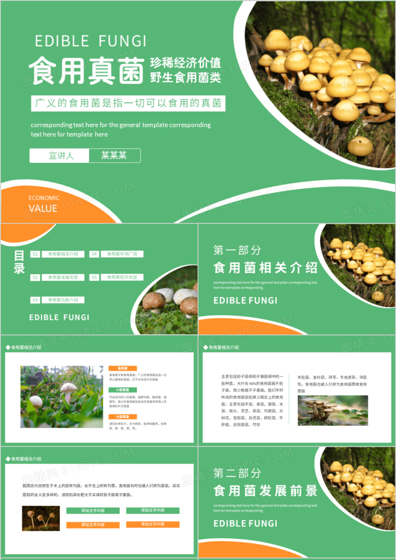 食用真菌广义的食用菌是指一切可以食用的真菌动态PPT模板