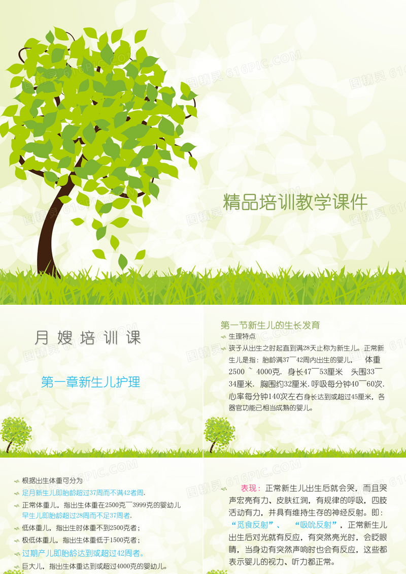 月嫂培训-新生儿护理  精品培训教学课件