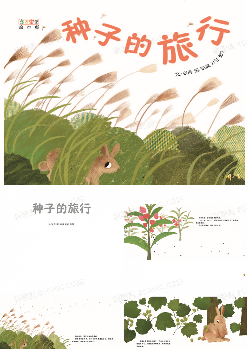 幼儿绘本故事《种子的旅行》课件