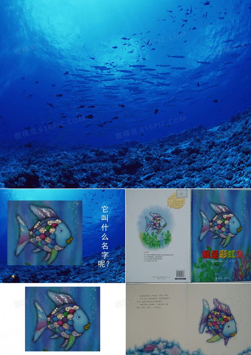 《我是彩虹鱼》绘本故事课件