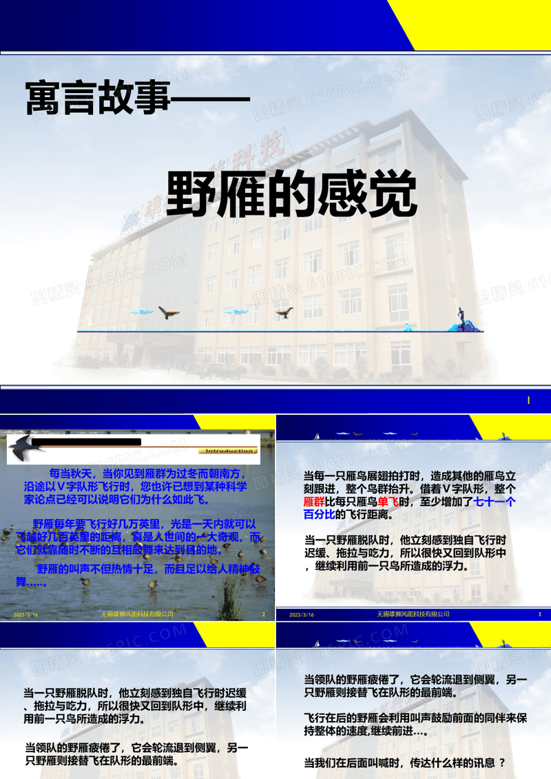 寓言故事野雁的感觉-团队凝聚力PPT幻灯片