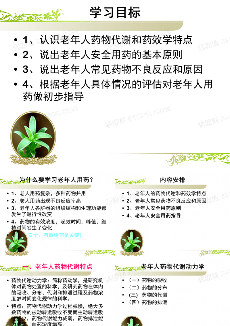 老年人的安全用药与护理-PPT文档资料