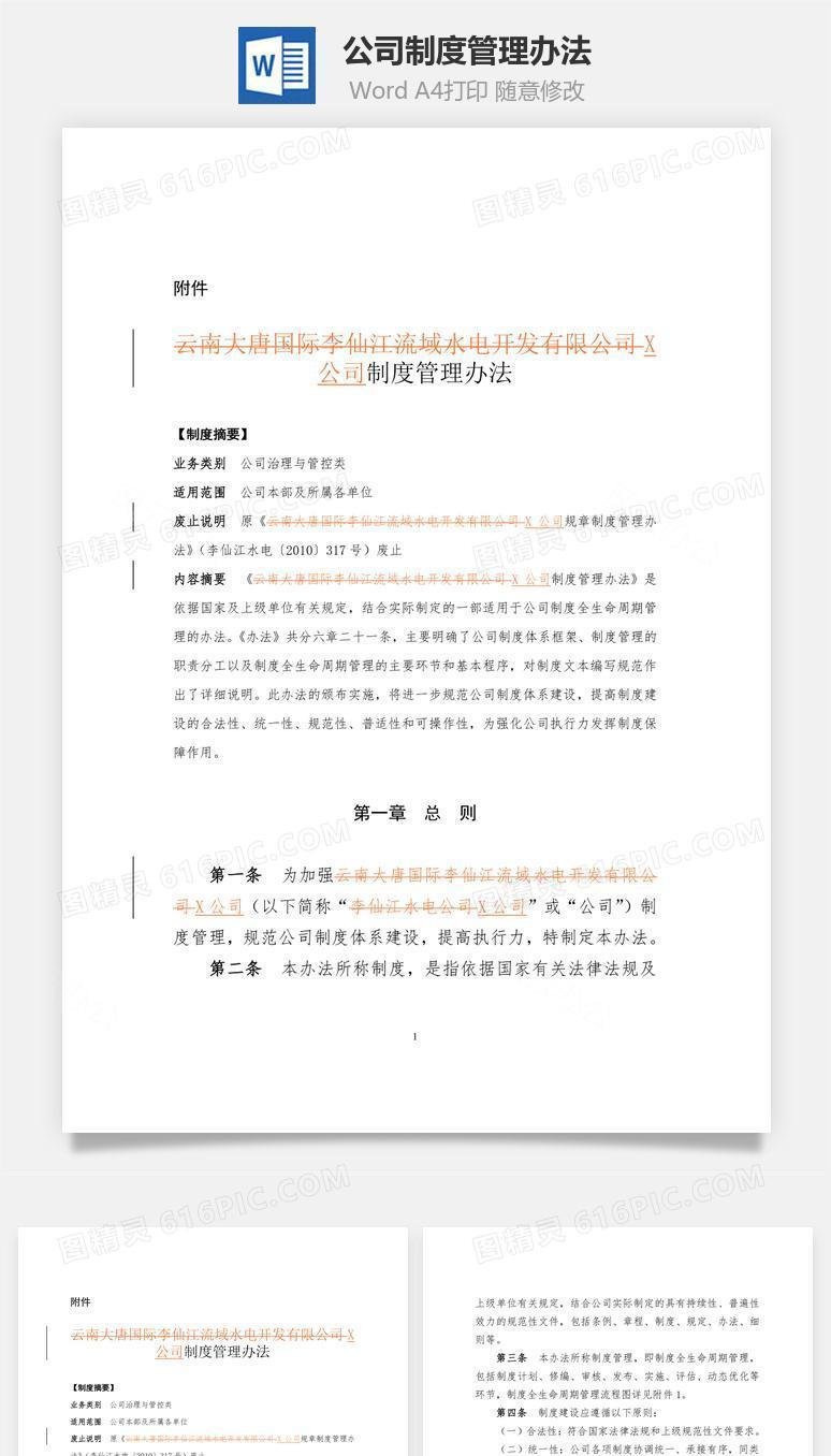 公司制度管理办法Word文档