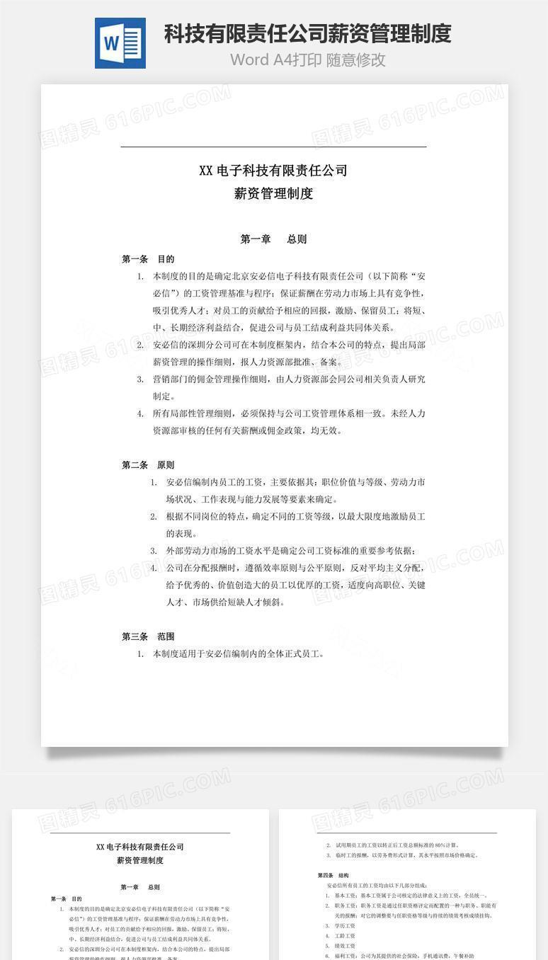 科技有限责任公司薪资管理制度Word文档